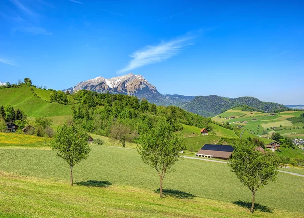 Jarní pohled v Nidwalden s Mt. Pilatus v pozadí — Stock fotografie