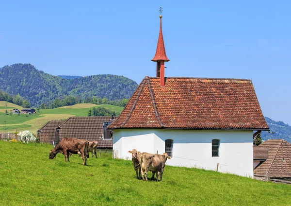 Kırsal görünümü: Nidwalden, Switzerland