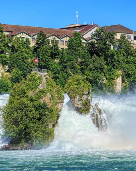 Rhine faller i sommar — Stockfoto