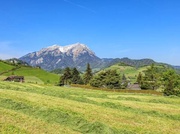 Jarní pohled v Nidwalden s Mt. Pilatus v pozadí — Stock fotografie