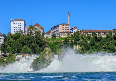 Rhine Falls şelale