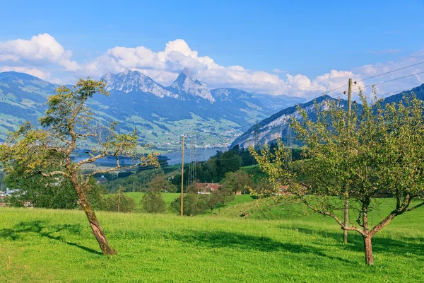 Krajina ve Švýcarsku — Stock fotografie