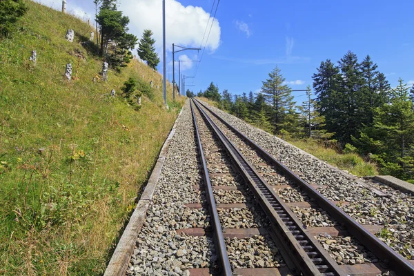 mt. rigi demiryoluna raf