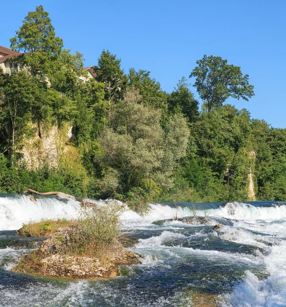 Rhine flod strax ovanför den Rhine Falls — Stockfoto