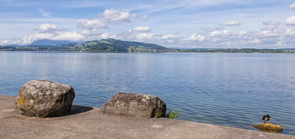 Vedere pe Lacul Zug vara — Fotografie, imagine de stoc