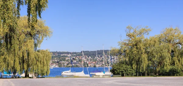 Vista sobre el lago Zurich en verano — Foto de Stock