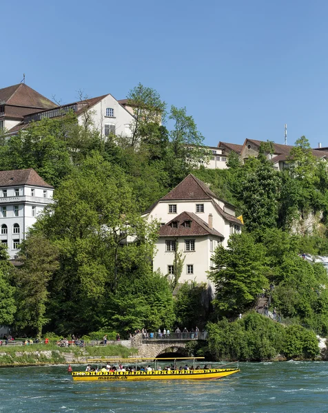 Widok w Neuhausen am Rheinfall — Zdjęcie stockowe