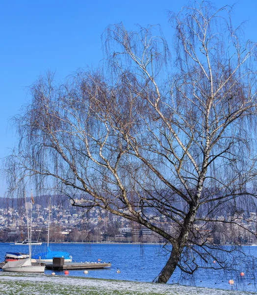 Lake Zurich in winter — Stock Photo, Image
