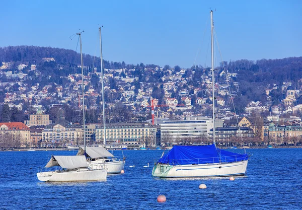 Zürichsjön på vintern — Stockfoto