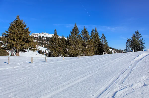 View on Mount Rigi in winter — Stock Photo, Image