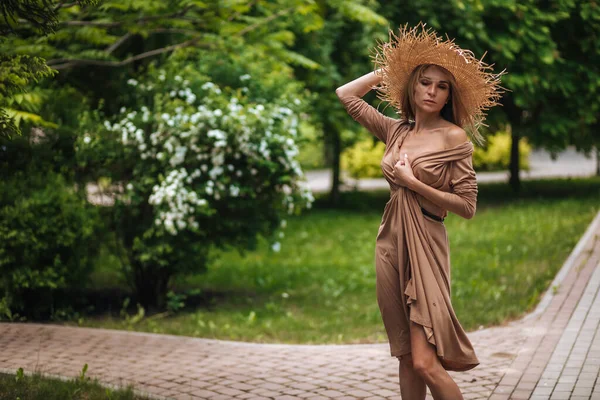 長い茶色のドレスを着た女性と麦藁帽子が夏の公園を歩く — ストック写真