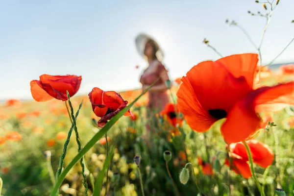 Una Ragazza Campo Papaveri — Foto Stock