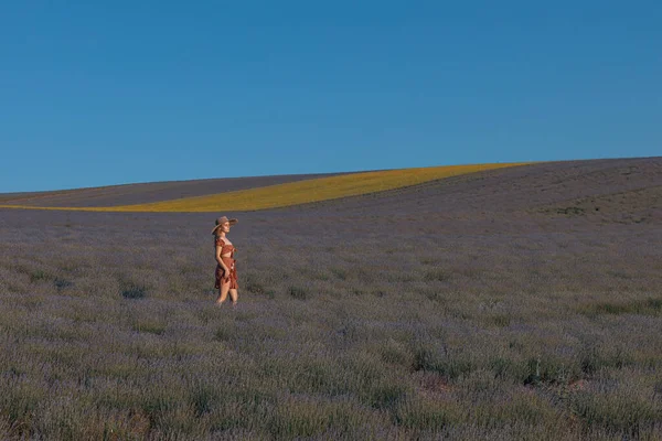 Girl Walks Lavender Field — Stock Photo, Image