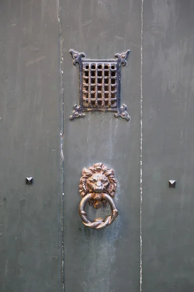 Vintage lion design brass door — Stock Photo, Image