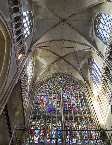 Catedral (Salvatorskerk) por vitrais Imagens De Bancos De Imagens