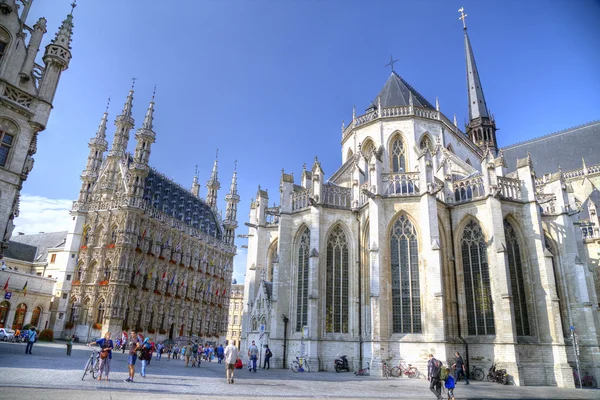 Leuven, Flandrii, Belgia Obrazy Stockowe bez tantiem