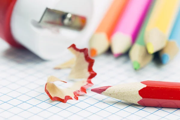 Close up of pencil shavings and sharpener — Stock Photo, Image