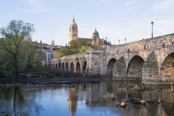 Ponte que conduz à Catedral de Salamanca Fotografia De Stock