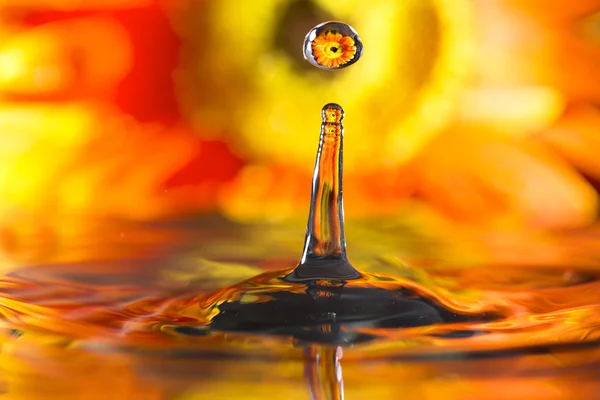 Reflectie in druppels oranje bloem — Stockfoto