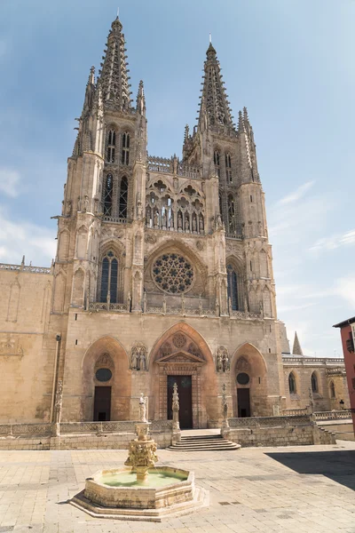 Gothic cathedral — Stock Photo, Image