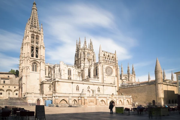 Catedral gótica Fotografia De Stock