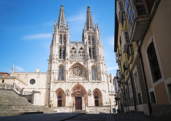 Catedral gótica Fotos De Bancos De Imagens