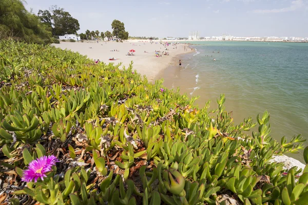 Het strand, Cadiz, Spanje — Stockfoto