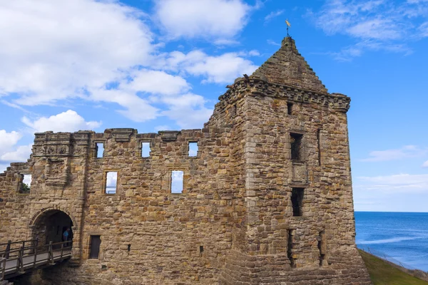 St andrews Burgruine — Stockfoto