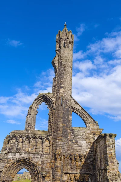 St Andrews Cathedral ruins — Stock Photo, Image