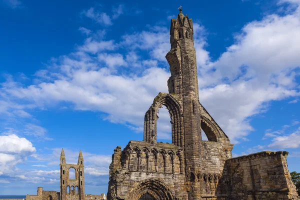 Rovine della Cattedrale di St Andrews — Foto Stock