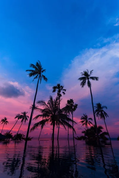 夕暮れの空に背の高い椰子の木が水に反映 — ストック写真