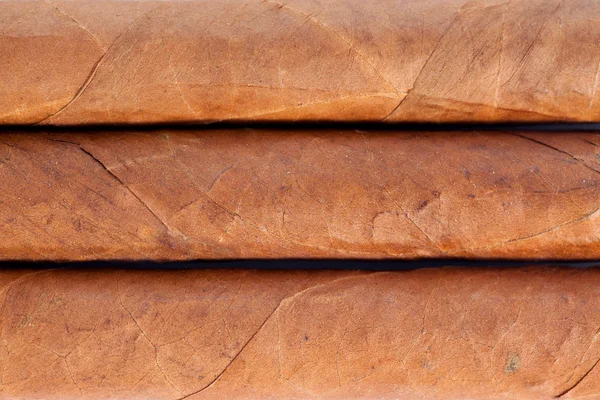 Справжня кубинські сигари — стокове фото