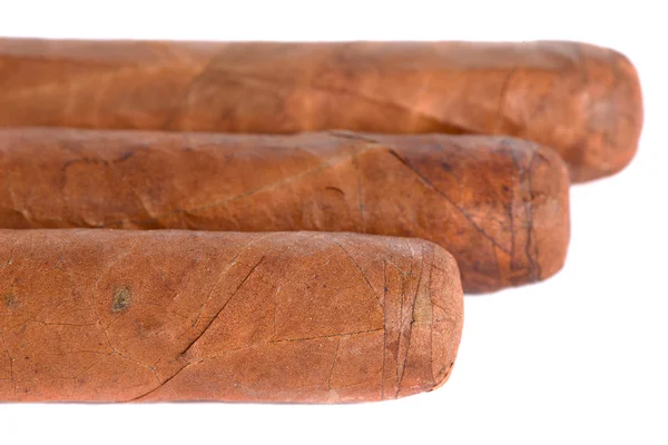 Настоящие кубинские сигары — стоковое фото
