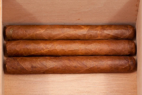 Echte Cubaanse sigaren — Stockfoto