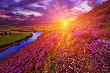 Beautiful landscape of scottish nature clipart