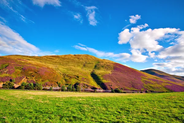 Kleurrijk landschap landschap van pentland hills helling vallende vi — Stockfoto