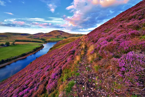 Wunderschöne Landschaft schottischer Natur — Stockfoto