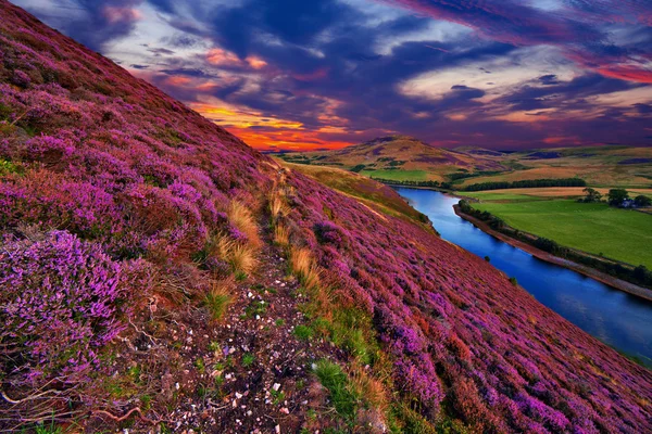 Hermoso paisaje de naturaleza escocesa — Foto de Stock