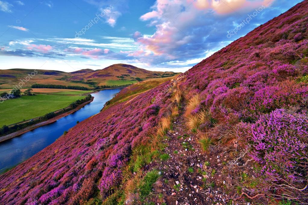 Beautiful landscape of scottish nature Stock ©SergeBertasiusPhotography 53954843