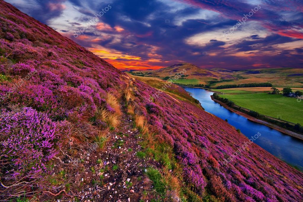 Beautiful landscape of scottish nature Stock Photo ©SergeBertasiusPhotography 53955013