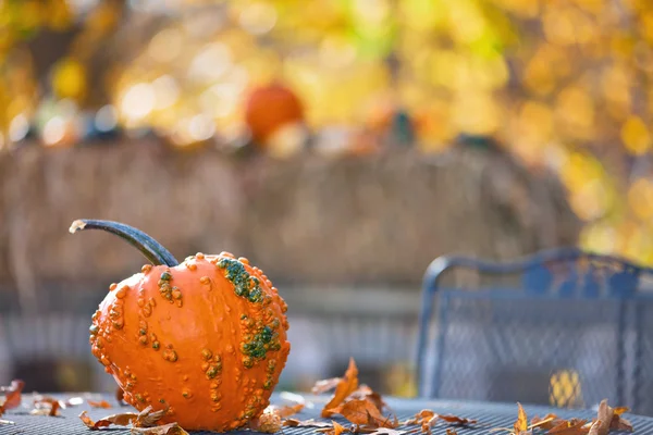 Pumpkins on patio table Stock Photo