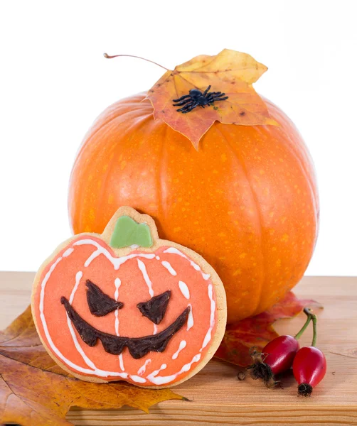 Halloween arrangement — Stock Photo, Image