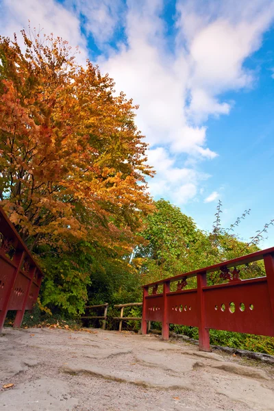 Brücke im chinesischen Herbstgarten. — Stockfoto