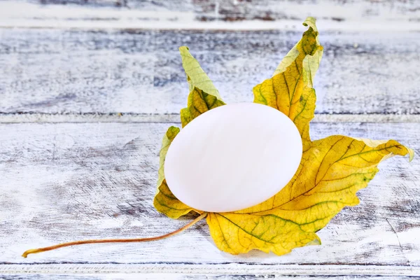 Duck egg and yellow maple leaf — Stock Photo, Image