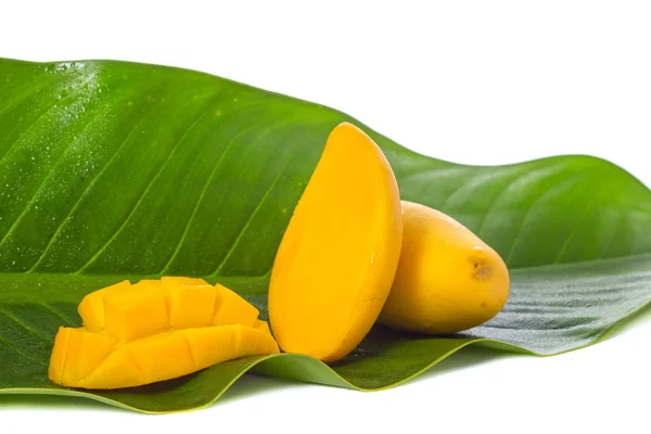 Mango giallo su foglia di banana — Foto Stock