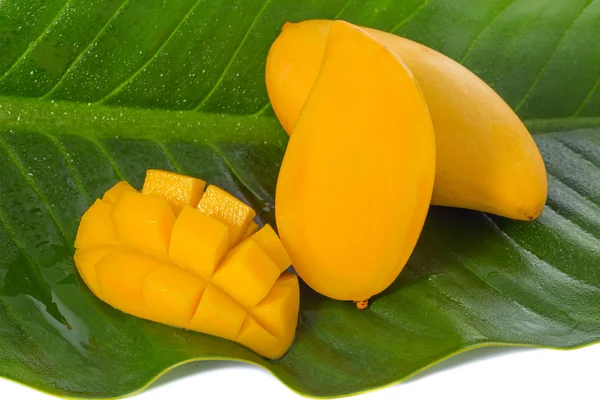 Frutto di mango giallo — Foto Stock