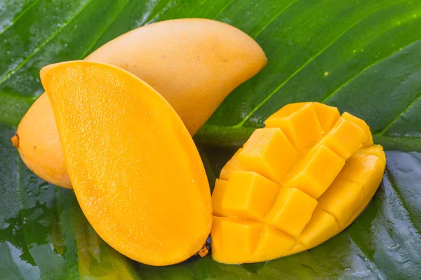 Фрукты желтого манго — стоковое фото
