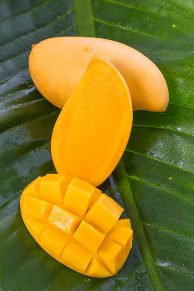 Желтый плод манго на банановом листе — стоковое фото
