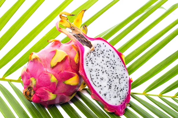 Fruta de dragão na folha de palma — Fotografia de Stock