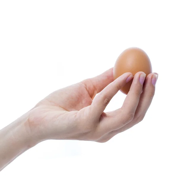 Female hand with a brown chicken egg — Stock Photo, Image